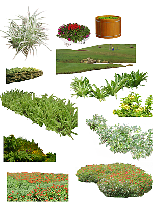 植物花卉园林绿化免抠元素