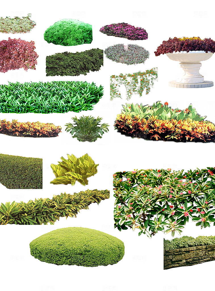 植物花卉园林绿化免抠元素