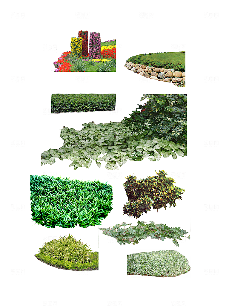植物花卉园林绿化免抠元素
