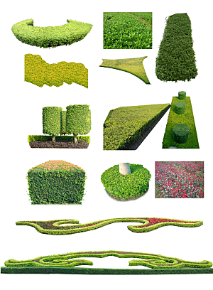植物花卉园林绿化免抠元素