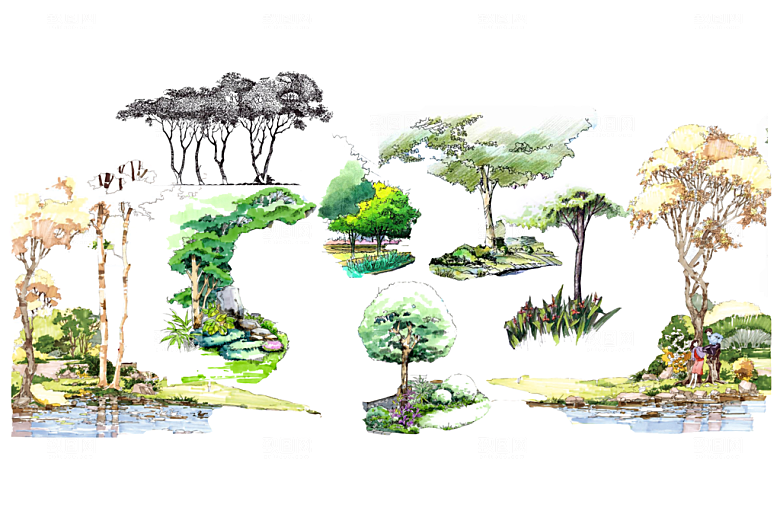 植物花卉园林绿化免抠元素
