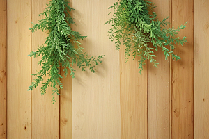 木质背景绿色植物图片