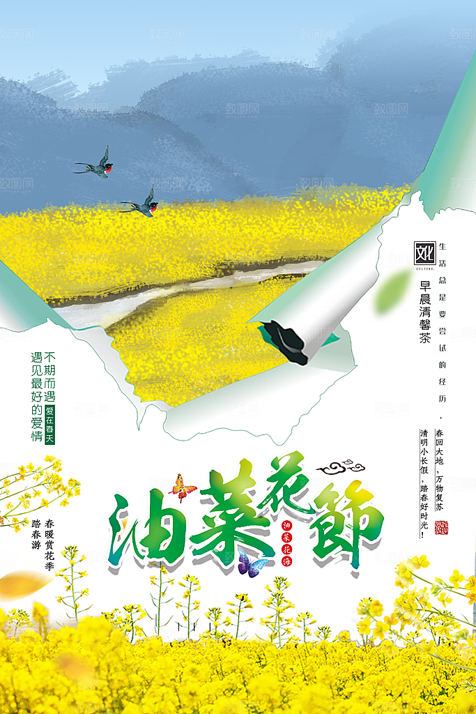 春暖花开油菜花开