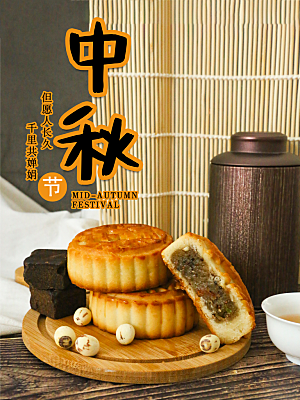 中国传统节日中秋节宣传海报