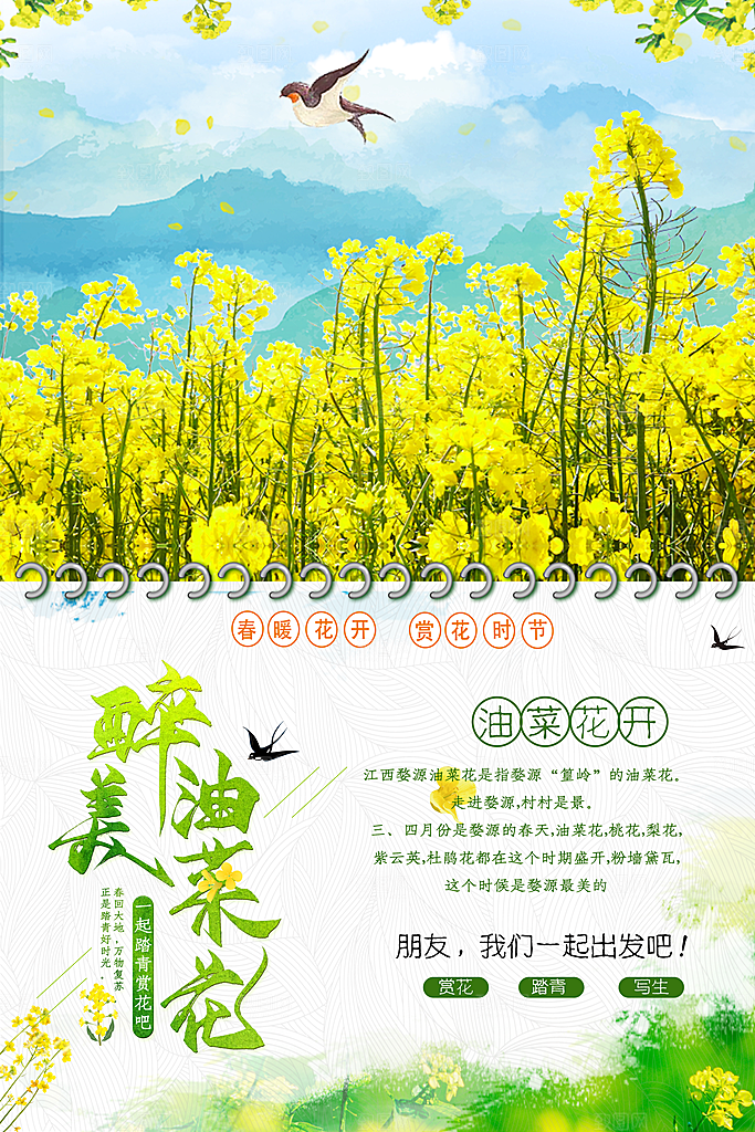 春暖花开最美油菜花
