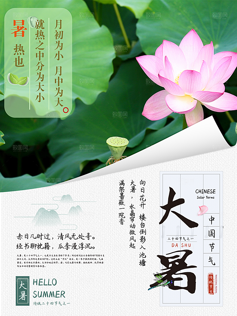 大暑节气简约大气海报