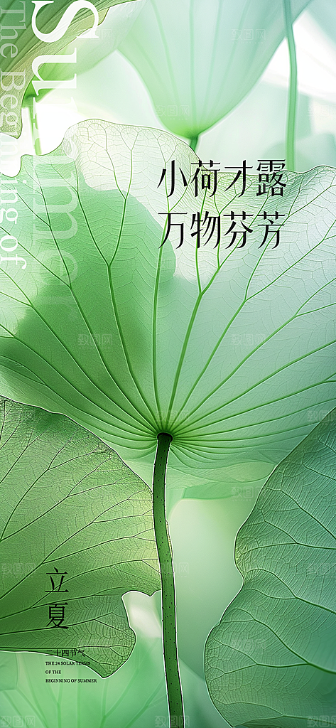 立夏医美节气海报