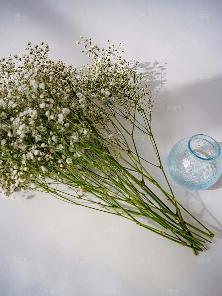 小雏菊鲜花摄影素材