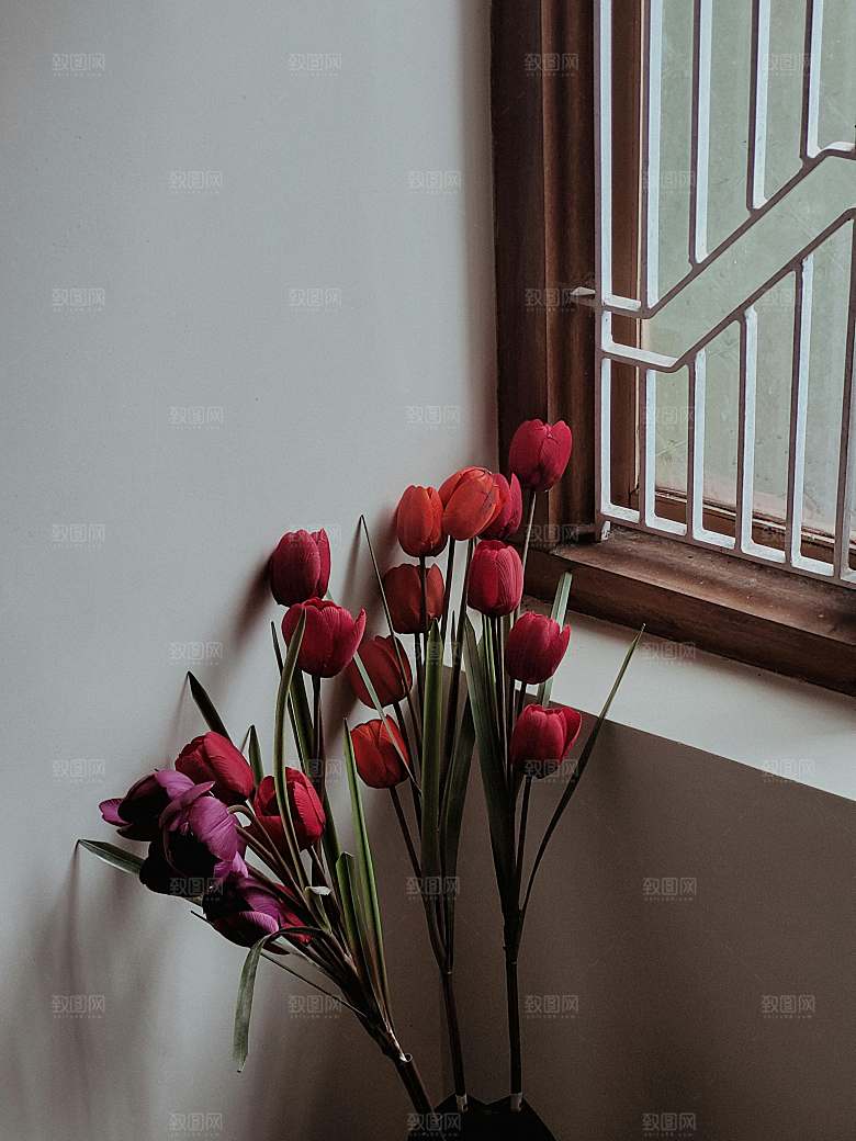 矢量鲜花玫瑰花摄影素材
