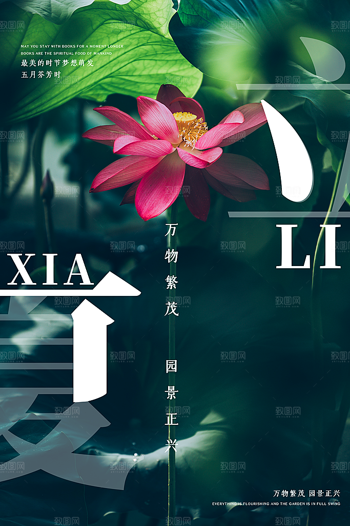 立夏节气简约大气海报