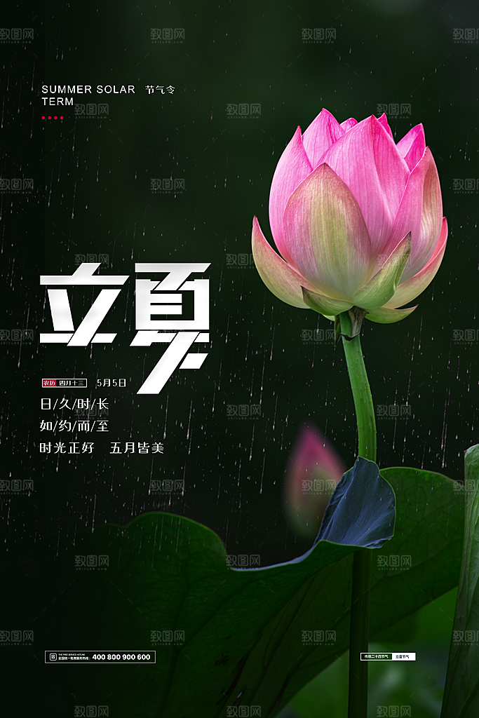 立夏节气简约大气海报