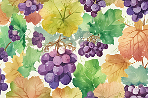 紫露葡萄熟了图片