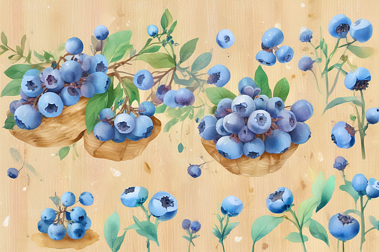 蓝莓花开硕果香图片
