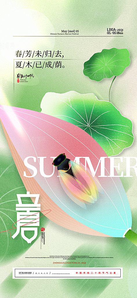 立夏节气简约大气海报