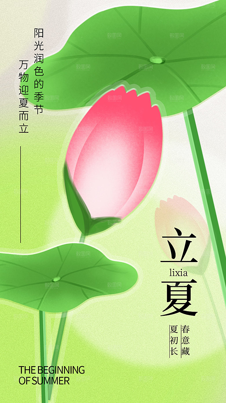 传统节气立夏高端插画模版海报