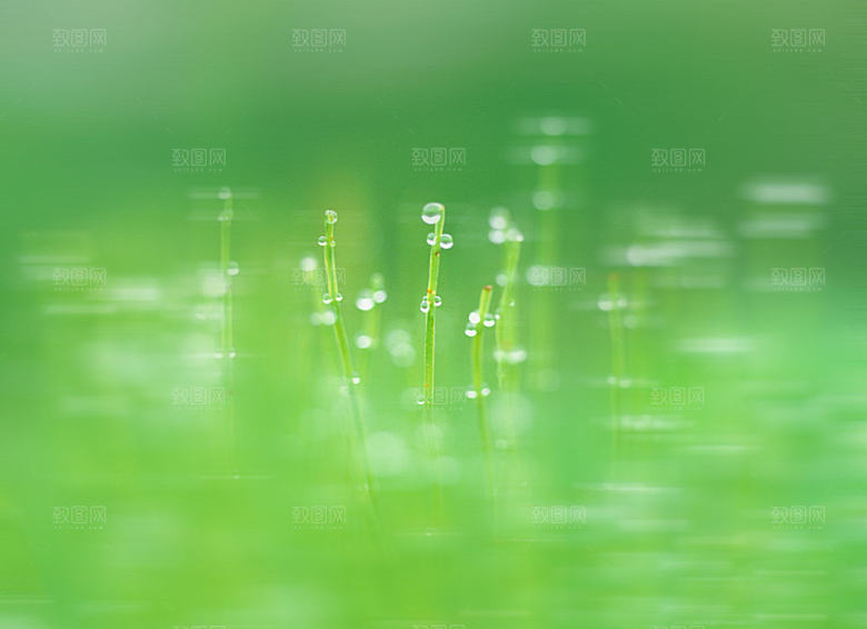浅色彩色模糊多彩背景图片