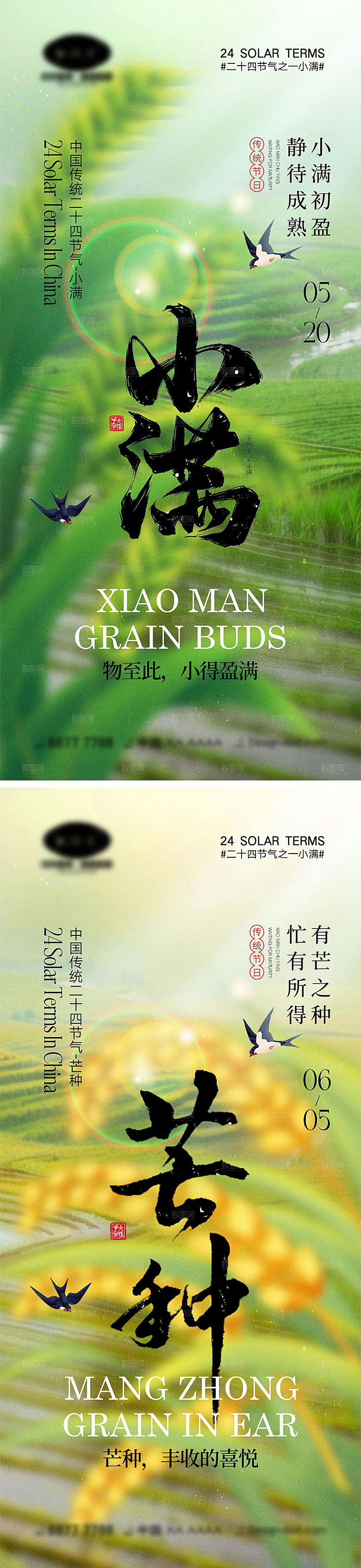 小满节气海报18