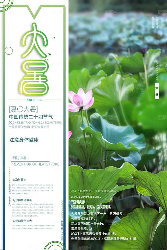 大暑节气简约大气海报