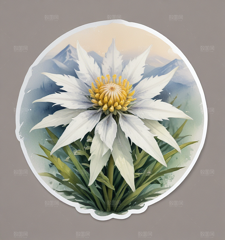 浪漫插画 花环少女图片
