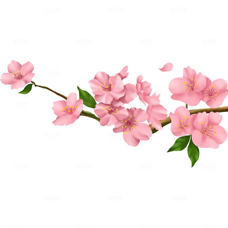免抠手绘桃花元素