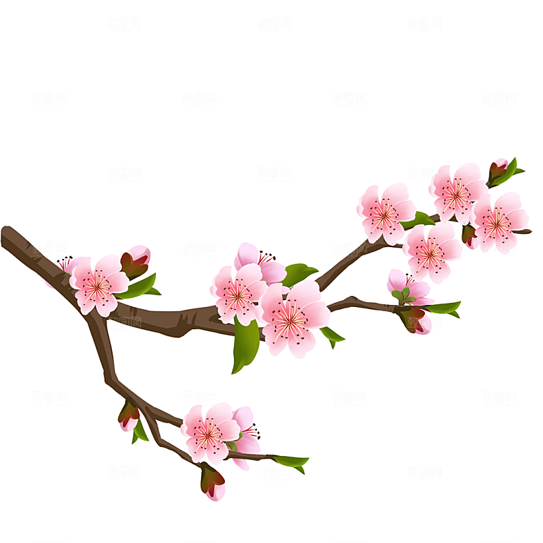 免抠手绘桃花元素