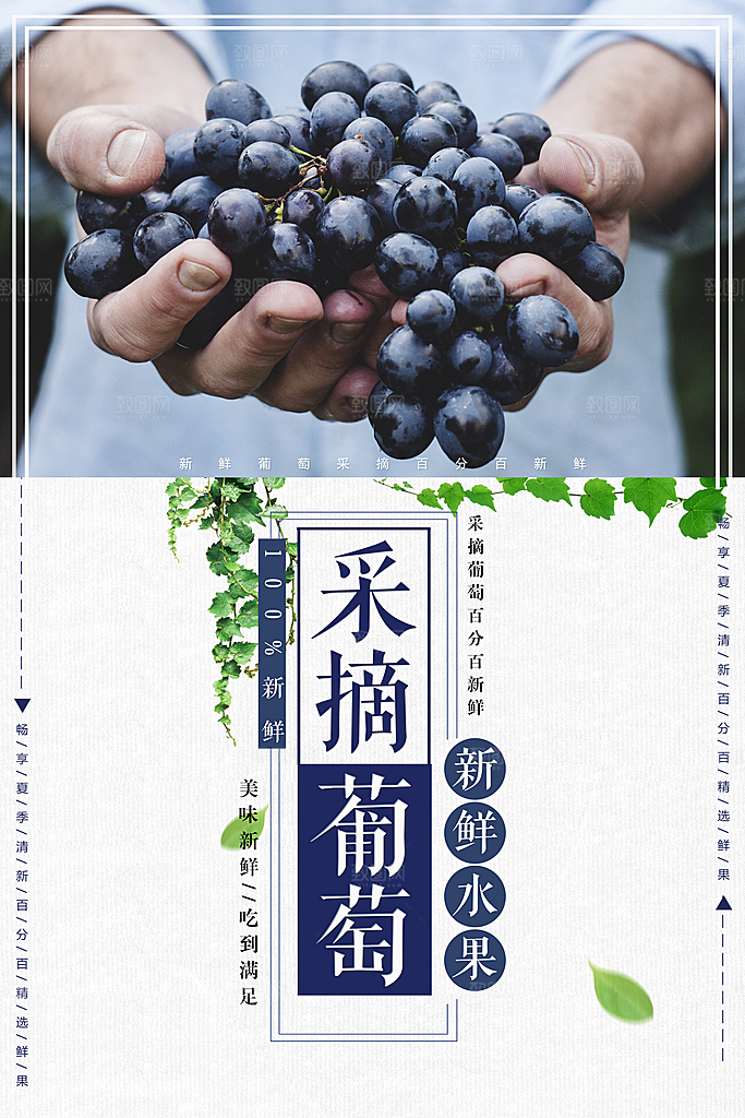 新鲜采摘葡萄海报