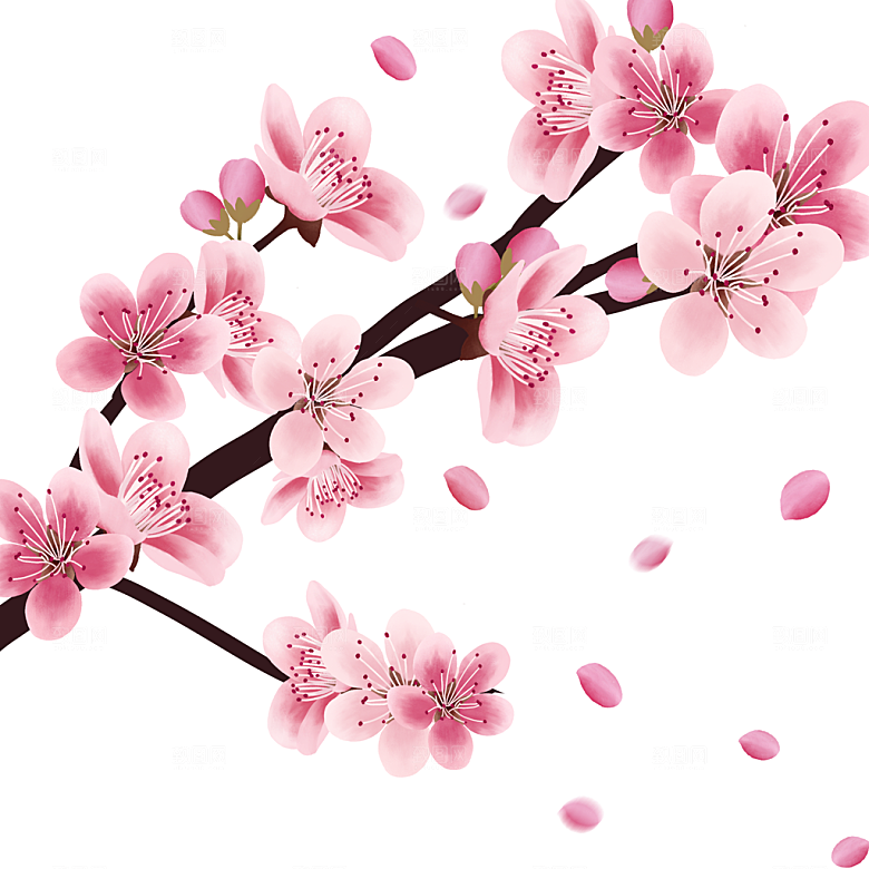 免抠手绘卡通桃花元素