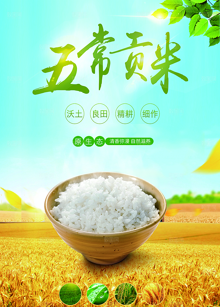 五常大米宣传海报