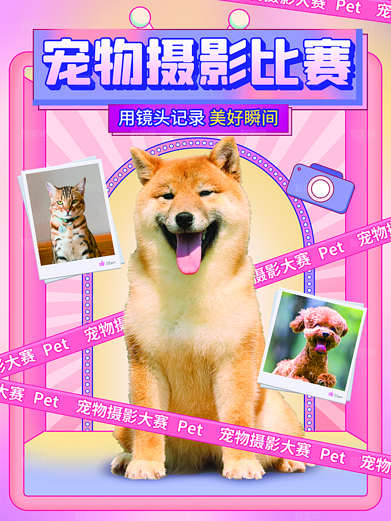 宠物摄影比赛宣传海报