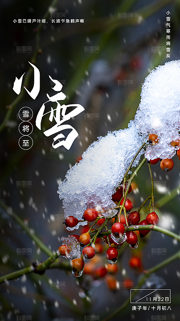 传统二十四节气小雪