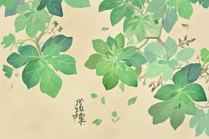 葛根中药插画草药插图