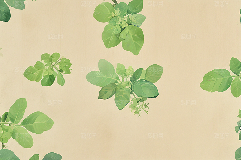 葛根中药插画草药插图