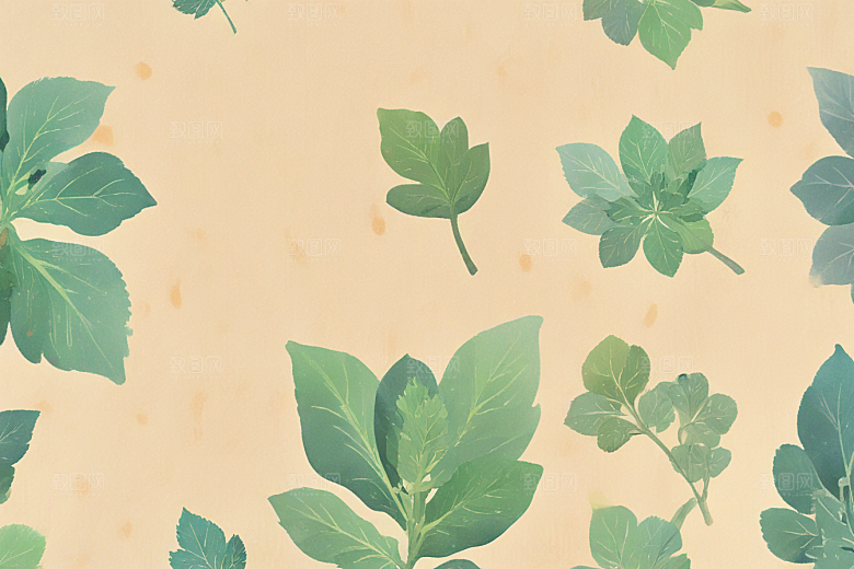 紫苏中药插画草药插图