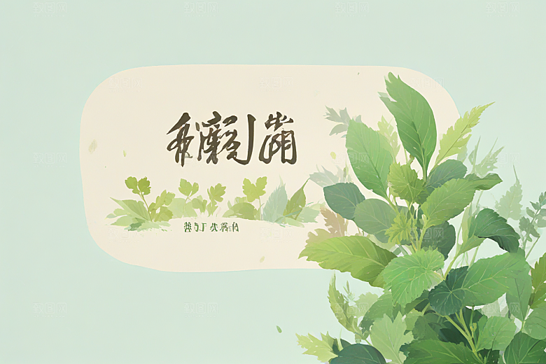 紫苏中药插画草药插图
