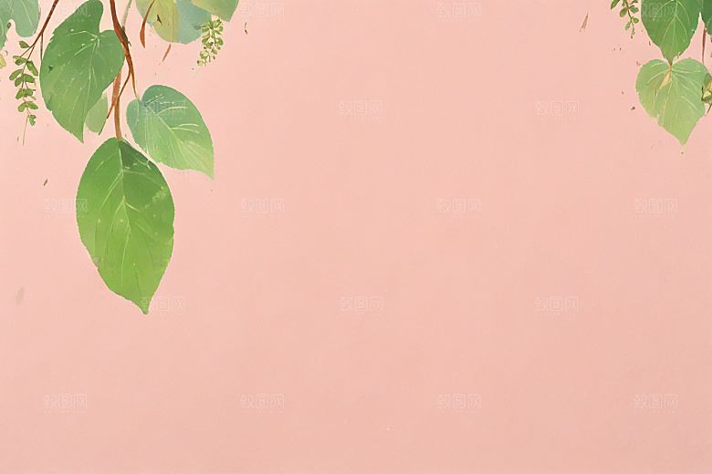 紫苏中药插画草药插图