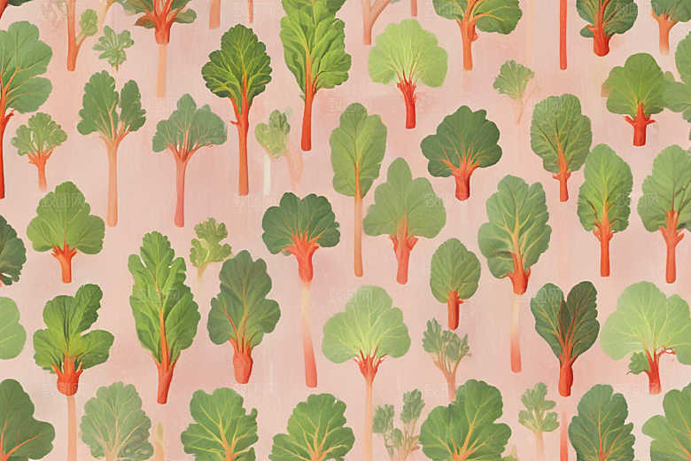 大黄中药插画草药插图