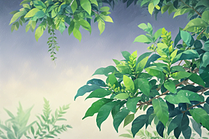 女贞子植物插图图片