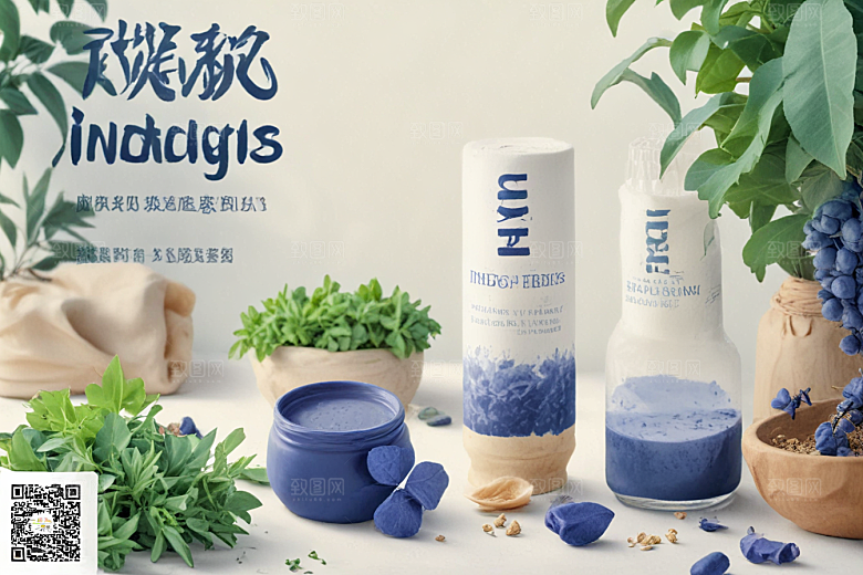 青黛植物插图图片