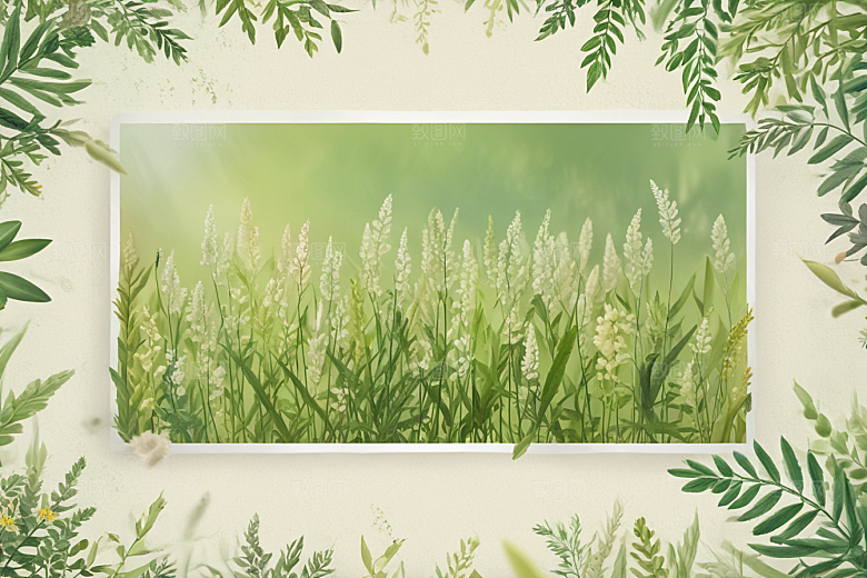 菖蒲植物插图图片