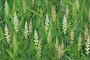 菖蒲植物插图图片