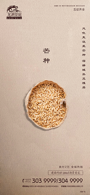 芒种节气简约大气海报