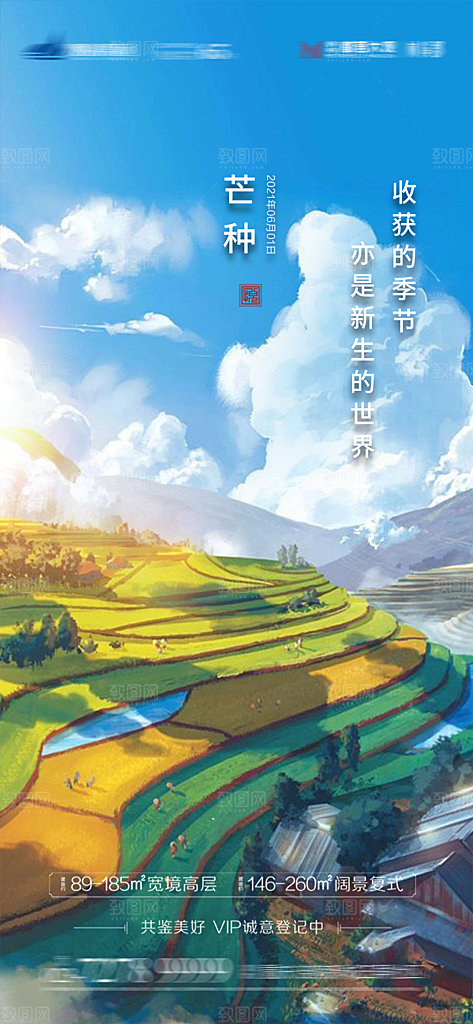 芒种节气简约大气海报