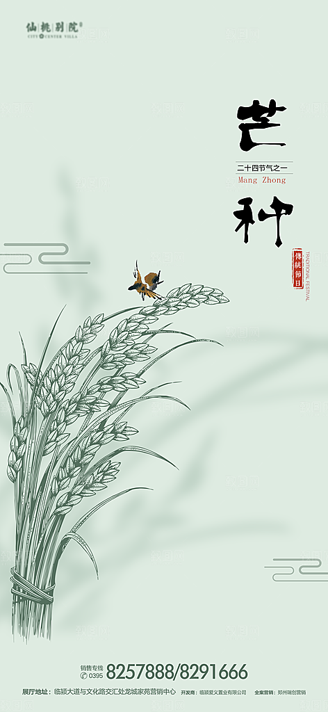 芒种节气简约大气海报