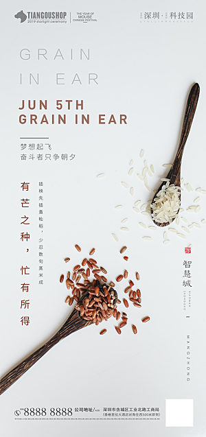 芒种节气简约大气海报