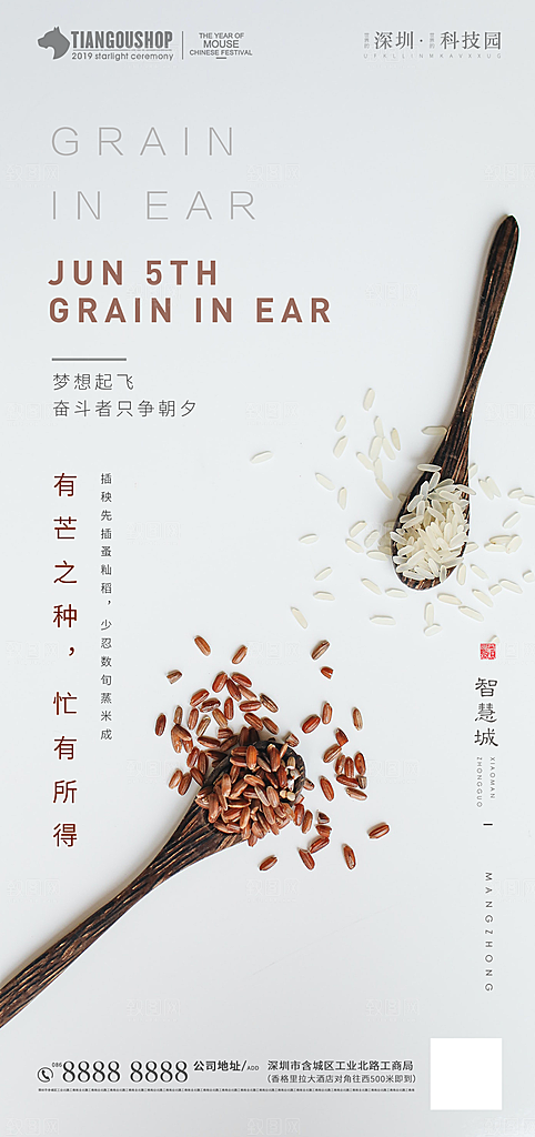 芒种节气简约大气海报