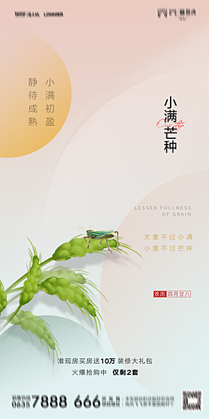 芒种节气简约大气海报