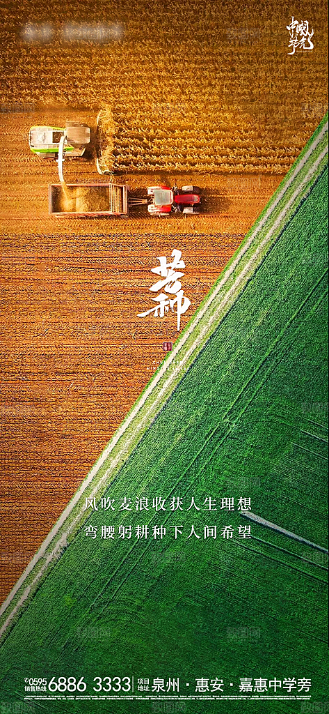 传统节气小满芒种海报