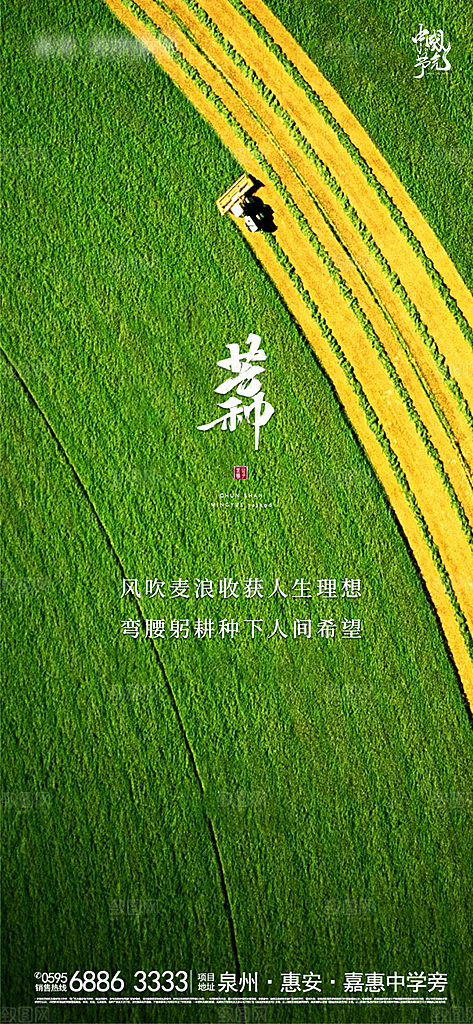 传统节气小满芒种海报