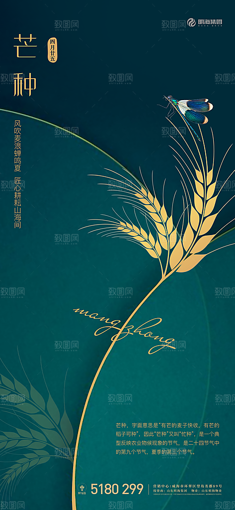 传统节气小满芒种海报