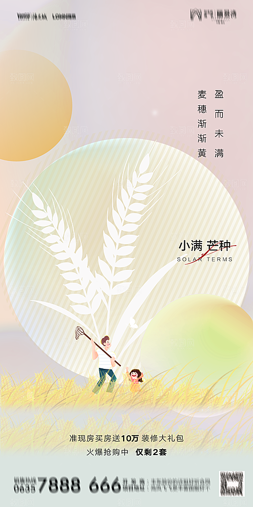 芒种节气简约大气海报